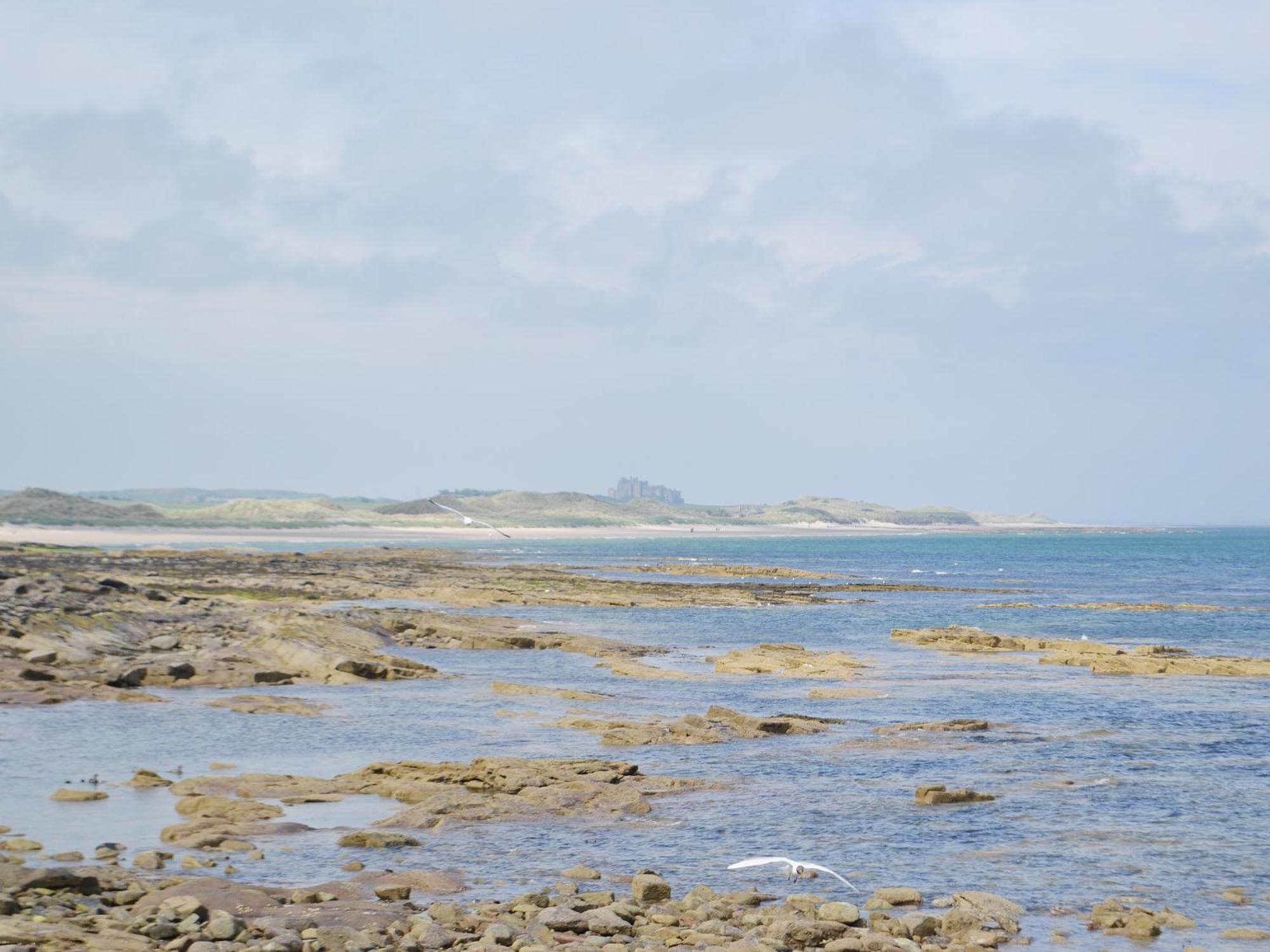 Erskine Cottage Seahouses Exterior photo